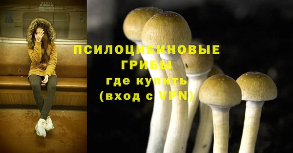 дживик Алексин