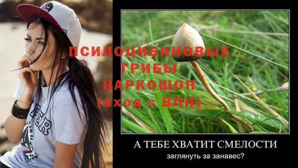 молекула духа Алзамай